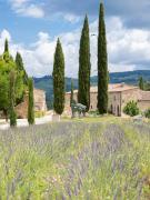 Top Castellina in Chianti