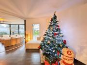 Villa Nausicaa - Circuit des 24h du Mans - Piscine