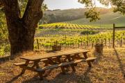 Top Paso Robles