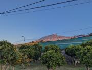 Top Icod de los Vinos