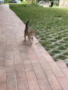 Top Banská Štiavnica