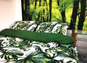 Apartament Green Forest Apartament Green Forest