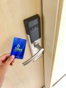 Trees Marias Affordable Staycation in Quezon City