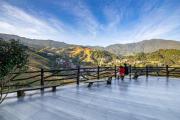 Top Longsheng