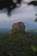 Elephant Trio Sigiriya