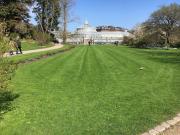 Modern City Suite in the old centre