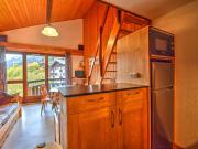 Appartement spacieux à Morzine, animaux admis, proche centre - FR-1-524-4