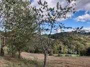 Top Montefortino