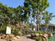 Top Phayao