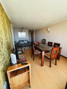 Top Viña del Mar Top Viña del Mar