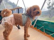 Hagi Matsusue Outdoor Village - Vacation STAY 39513v