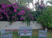 House - Cesme Boyalık