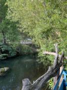 Top Puerto Tranquilo