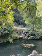 Top Puerto Tranquilo