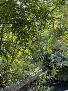 Top Puerto Tranquilo