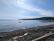 Top Sooke
