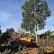 Top Ấp Tây Khánh (2)