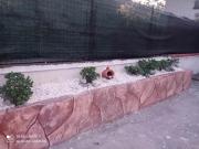 Top Vaccarizzo - Delfino