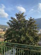 Top San Felice a Cancello