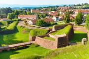 Top Belfort