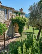 Top Montone Top Montone