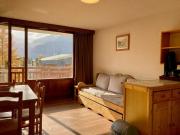 Studio lumineux au pied des pistes, animaux admis - FR-1-811-35
