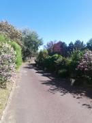 Top Merville-Franceville-Plage