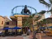 Top Hammamet