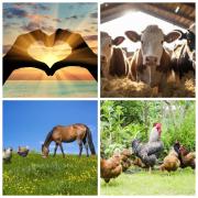 Appartement a la Campagne