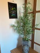 Hôtel & Restaurant ISVARA