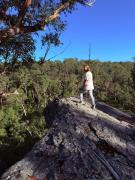 Top Theresa Park