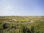 Top Merville-Franceville-Plage