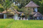 Top Ubud