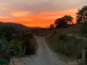 Top Radda in Chianti Top Radda in Chianti