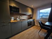 New, cozy retreat, 300 m to ski bus in Schladming Region