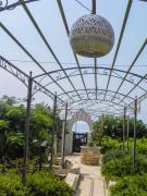 Top Marina San Gregorio