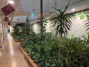 Top Playa del Ingles