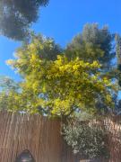 Chalet nature proche plage