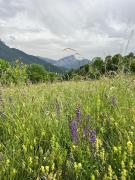 Top Entremont-le-Vieux