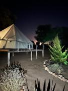 Top Valle de Guadalupe