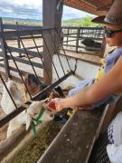 Flat Monte Castelo - Comodidade incrível 2