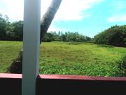 Peaceful view guest house