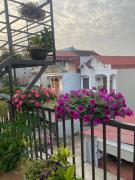 Top Mộc Châu