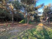 Top Kijanka Top Kijanka