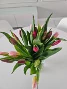 Top Poznań Top Poznań