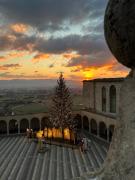 Top Assisi