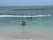 Tranquil Cottage Polhena