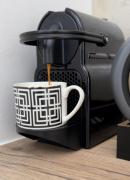 Top Prostějov Top Prostějov