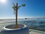 Frente Mar com Vista TOP e limpeza diária