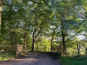 Spacious cottage - walk to Crieff